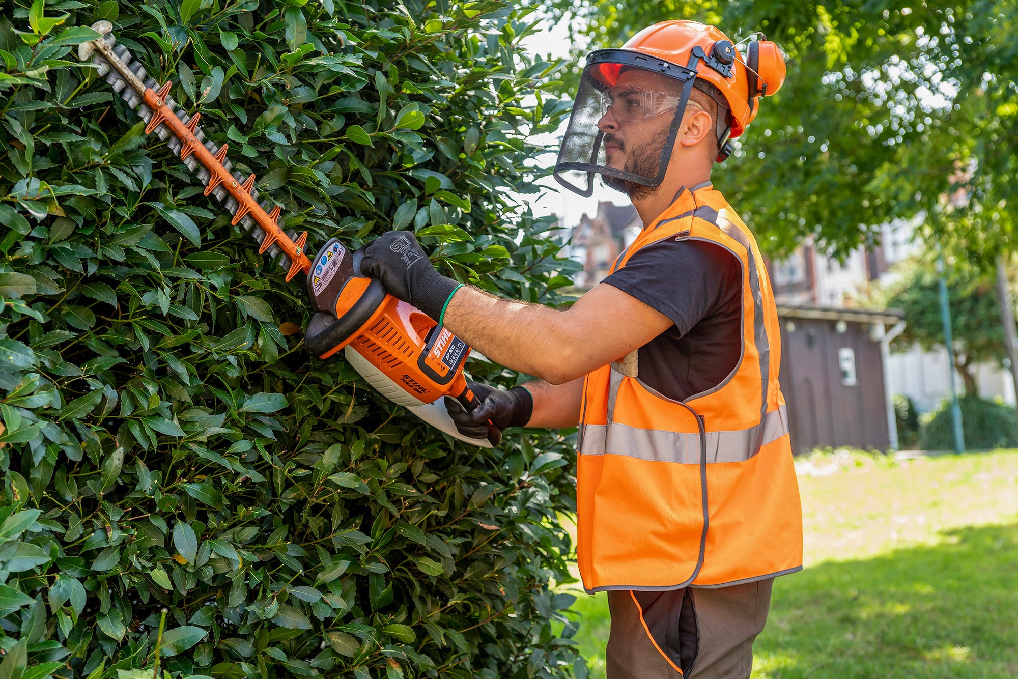 Vegetation cleaning